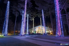 長野県・国営アルプスあづみの公園（堀金・穂高地区）のイルミネーション 4