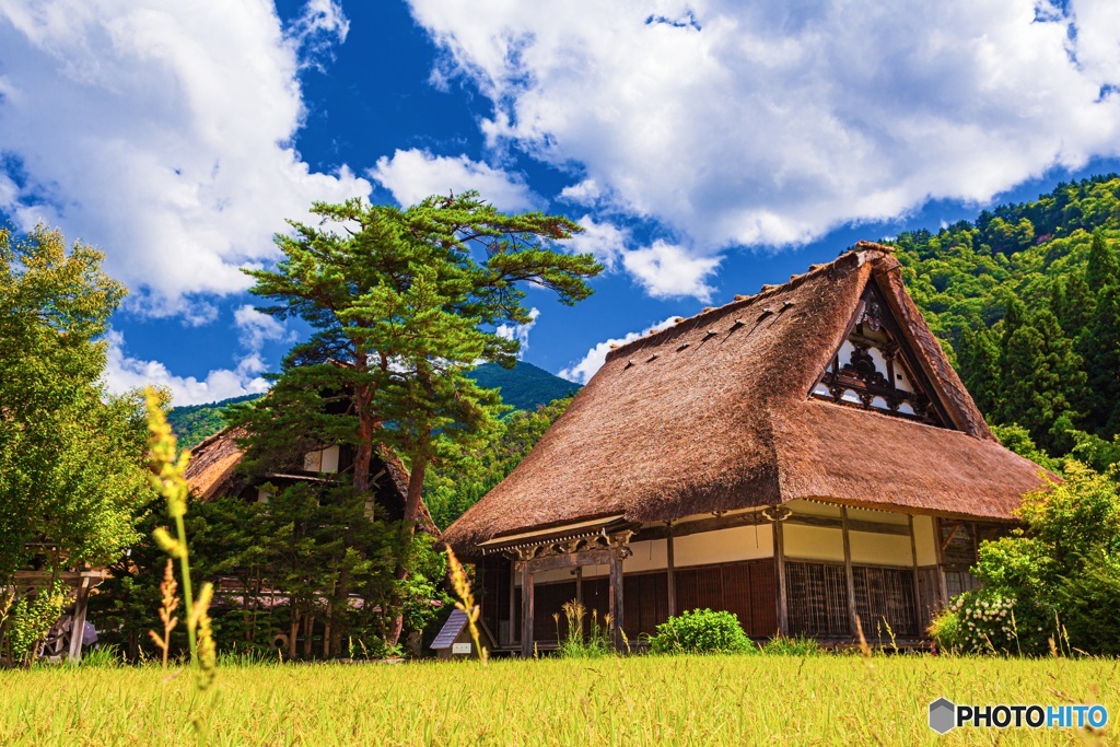岐阜県・夏の白川郷の風景 6