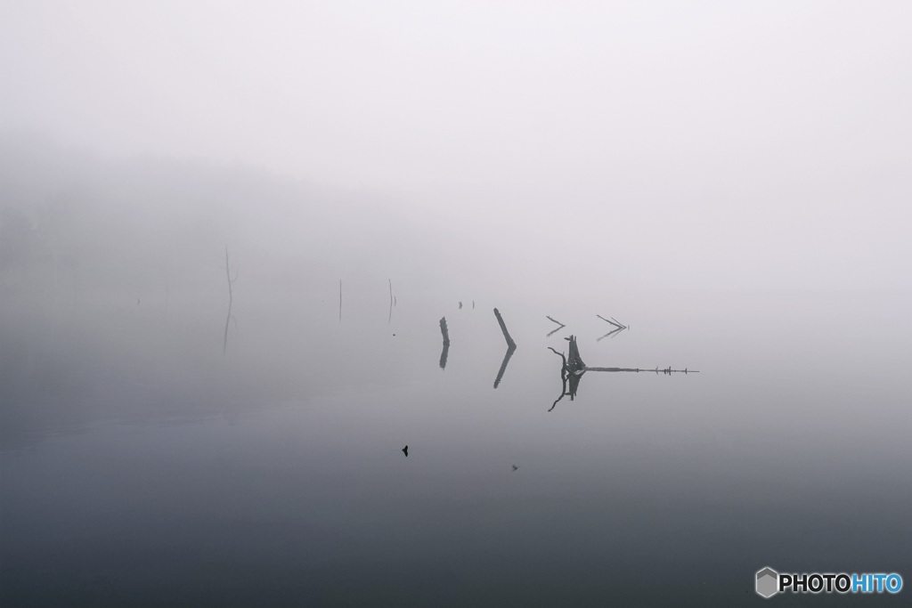 長野県・霧の女神湖（初夏） 3