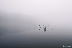 長野県・霧の女神湖（初夏） 3
