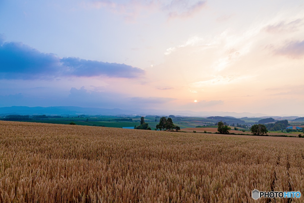 北海道・美瑛町 夏の夕景 2