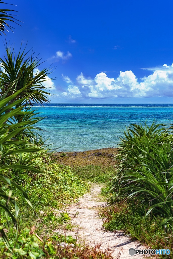 沖縄県・黒島の風景 1