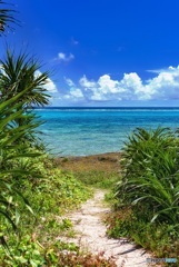 沖縄県・黒島の風景 1