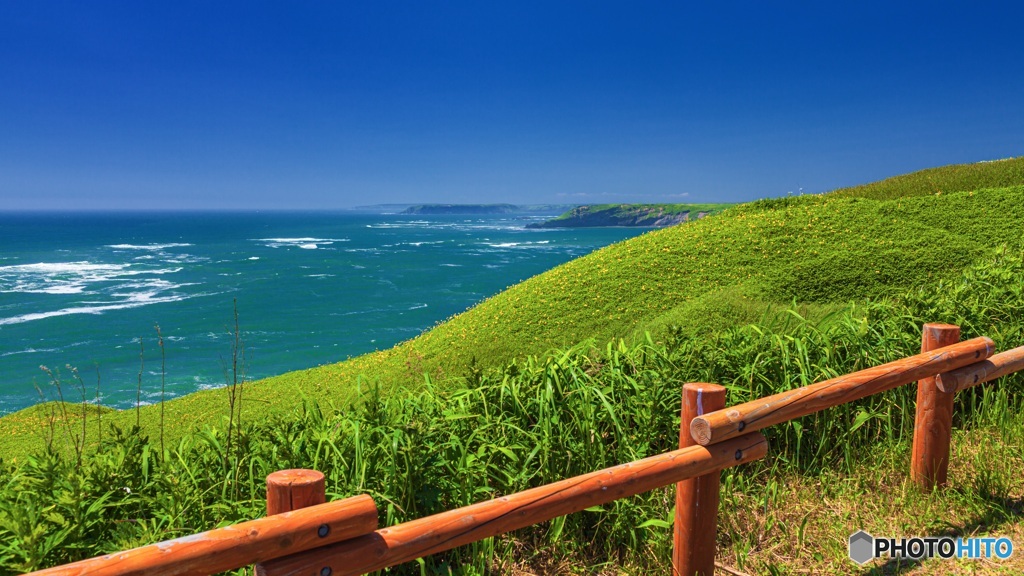 北海道・厚岸町 夏の霧多布岬の風景 8