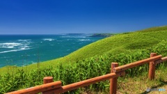 北海道・厚岸町 夏の霧多布岬の風景 8