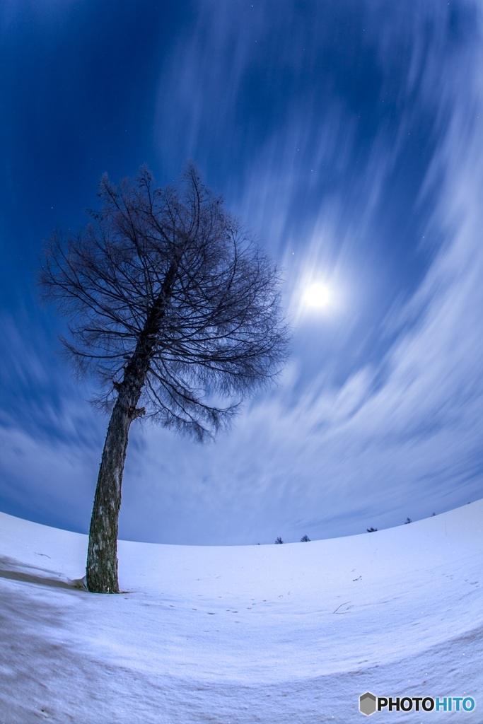 北海道・大空町 冬の夜のメルヘンの丘 2