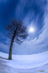 北海道・大空町 冬の夜のメルヘンの丘 2