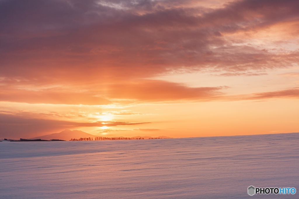 北海道・大空町 朝焼けのオーヴェルの丘