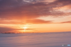北海道・大空町 朝焼けのオーヴェルの丘
