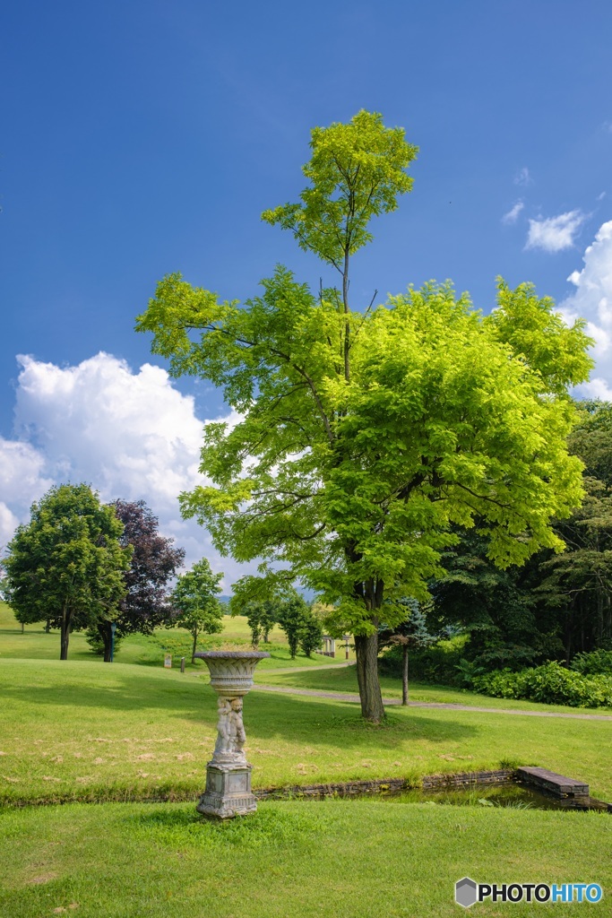 長野県・木島平村 やまびこの丘公園の風景