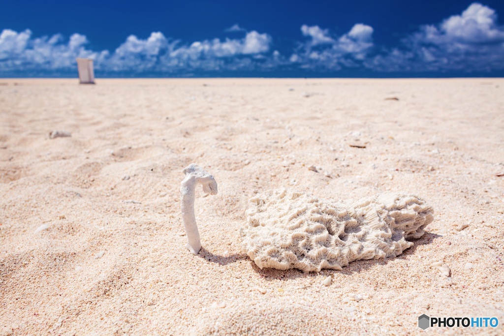 沖縄県・久米島 ハテの浜 8