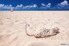 沖縄県・久米島 ハテの浜 8