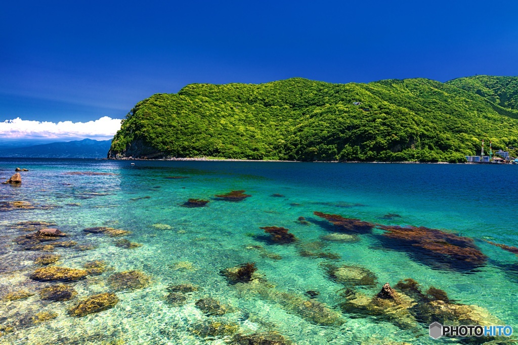静岡県・西伊豆 御浜岬の風景
