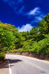 鹿児島県・与論島の風景 2