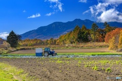 長野県・秋の川上村の風景 8