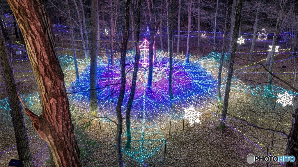 長野県・国営アルプスあづみの公園（大町・松川地区）のイルミネーション 1