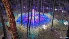 長野県・国営アルプスあづみの公園（大町・松川地区）のイルミネーション 1