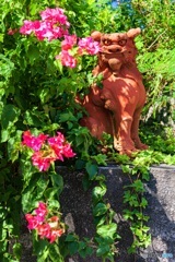 沖縄県・来間島の風景 3