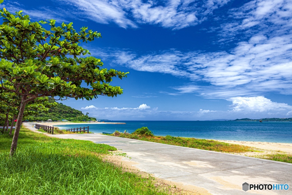 沖縄県・浜比嘉島の風景 1