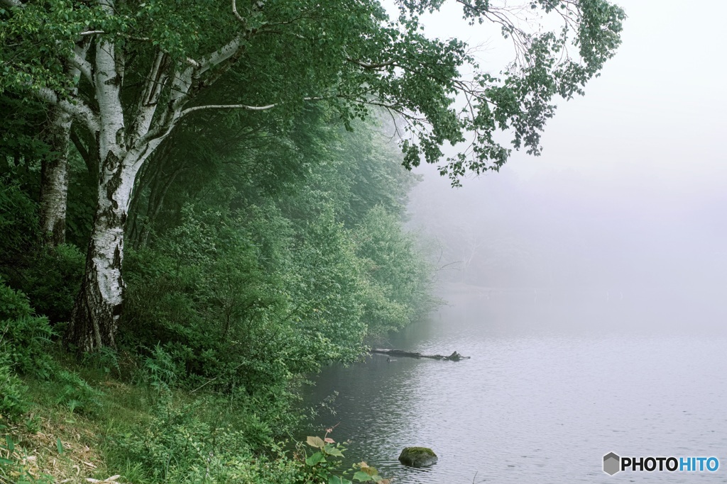 長野県・霧の女神湖（初夏） 2
