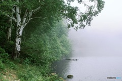 長野県・霧の女神湖（初夏） 2