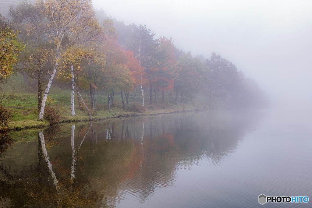 長野県・女神湖の朝霧 2