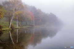 長野県・女神湖の朝霧 2