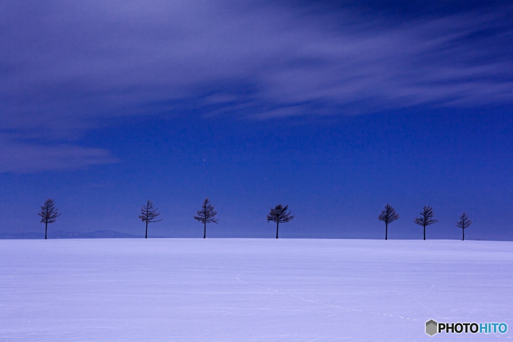 北海道・大空町 冬の夜のメルヘンの丘 1