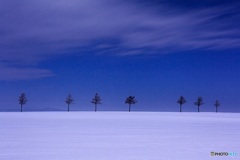 北海道・大空町 冬の夜のメルヘンの丘 1