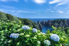 静岡県・南伊豆 あいあい岬の風景
