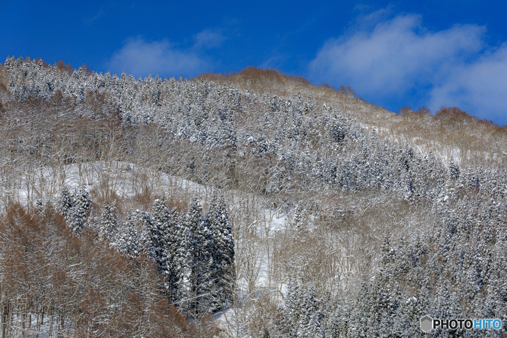 長野県・冬の斑尾高原の風景 2