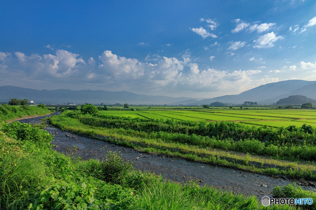 長野県・木島平村 朝の川と水田の風景
