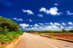 沖縄県・下地島の風景 2