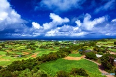 鹿児島県・与論島 高台からの風景 3