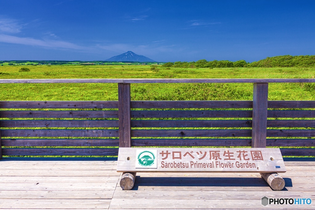 北海道・豊富町 サロベツ原生花園 2