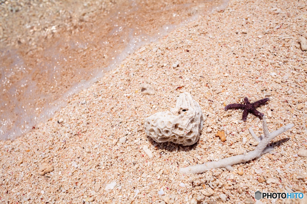 沖縄県・久米島 ハテの浜 15