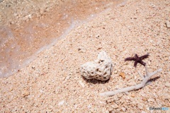 沖縄県・久米島 ハテの浜 15
