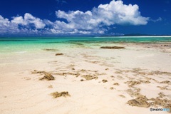 沖縄県・久米島 ハテの浜 10
