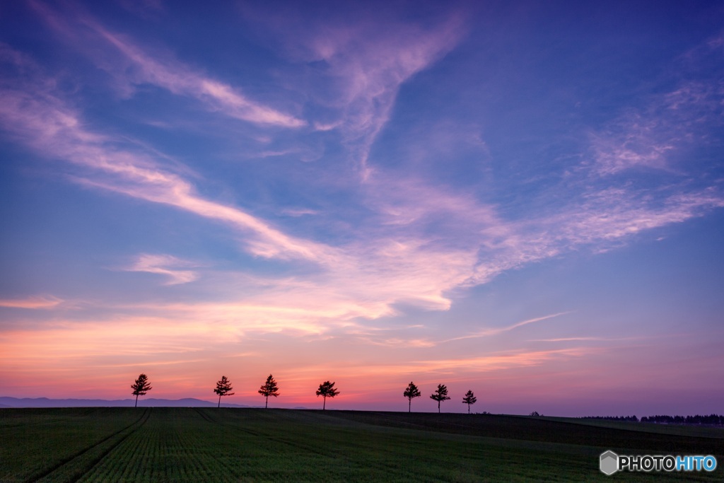 北海道・大空町 メルヘンの丘の夕焼け