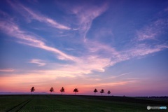 北海道・大空町 メルヘンの丘の夕焼け