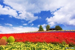 北海道・秋のかんのファーム 1