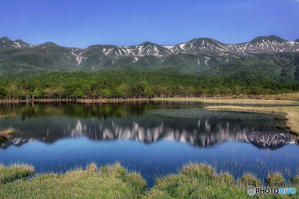 北海道・初夏の知床連山と知床五湖の風景