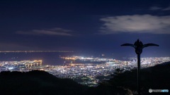 兵庫県・六甲山天覧台からの夜景 2
