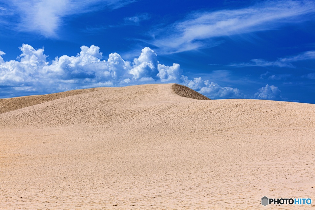 鳥取県・夏の鳥取砂丘の風景 1