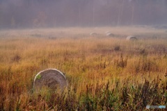 北海道・美瑛町 朝霧の美瑛町 2