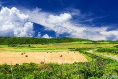 沖縄県・与那国島 牧草ロール