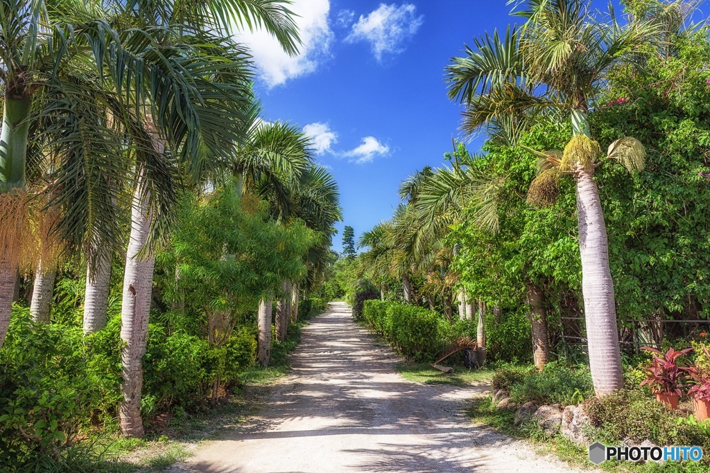 沖縄県・由布島 1