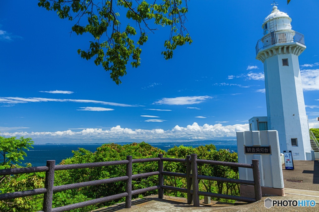 神奈川県・観音崎公園の風景 3