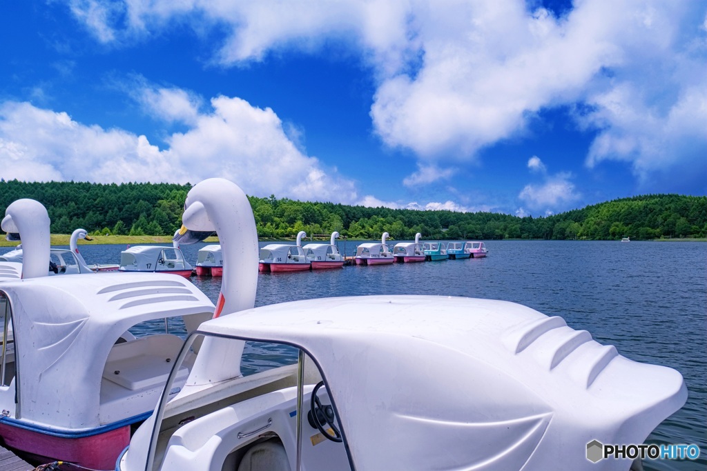長野県・初夏の女神湖の風景 1
