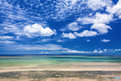 沖縄県・西表島 3